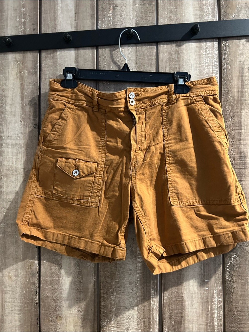 Antropologie The wanderer cotton shorts,29